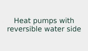 Heat pumps with reversible water side